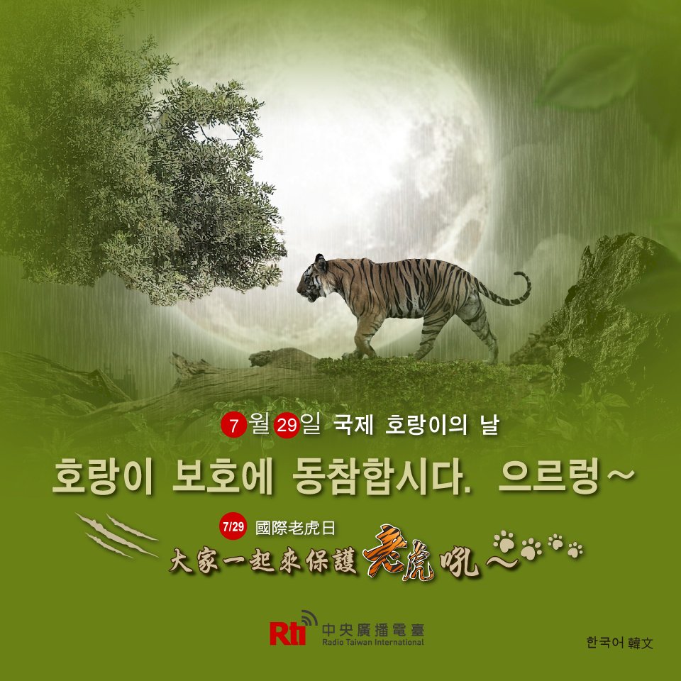 국제 호랑이의 날