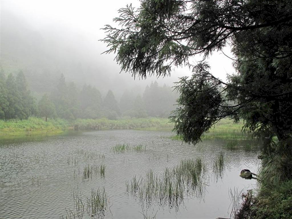 타이완물부추의 자연 생장지역인 타이베이 양밍산(陽明山)국가공원 몽환(夢幻)호수 일경. 사진: 행정원 농업위회 임업시험소 제공