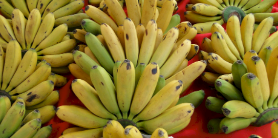 타이완에 가면 꼭 맛봐야 하는 바나나 3총사!