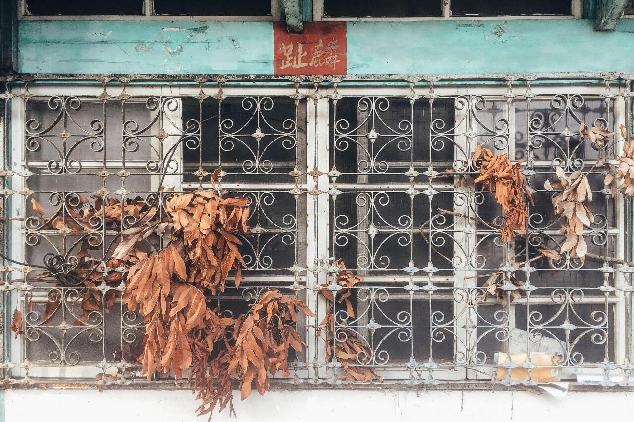 타이완 20세기 건물의 아름다운 창살 - 철창화