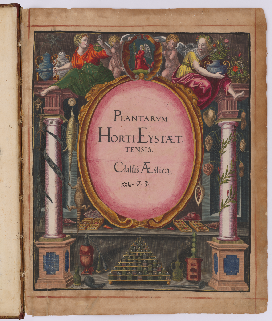(독일) 뉴른베르크의 약사이며 식물학자인 바실리우스 베슬러(Basilius Besler, 1561-1629년) 식물도감 ‘아이히슈테트의 정원(Hortus Eystettensis)은 라틴어와 독일어의 바이링구얼 버전이다. -사진: 바티칸도서관 제공