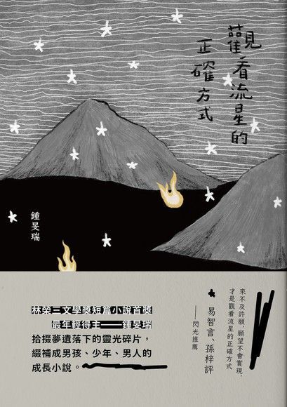 “이룰 수 없는 소망은 꿈이 남긴 흔적” 중민루이(鐘旻瑞)《별똥별을 보는 올바른 방식》 “이룰 수 없는 소망은 꿈이 남긴 흔적” 중민루이(鐘旻瑞)《별똥별을 보는 올바른 방식》